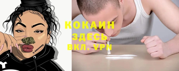 прущий лед Алзамай