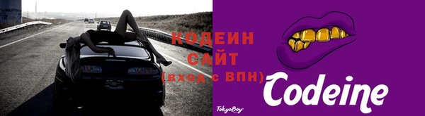 прущий лед Алзамай
