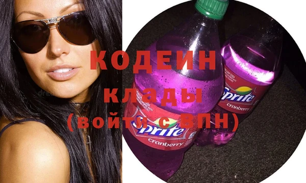 прущий лед Алзамай