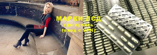 прущий лед Алзамай