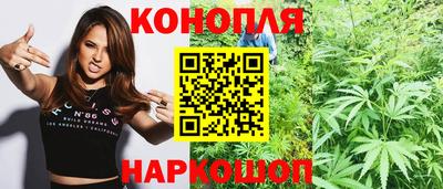 стаф Чебоксары