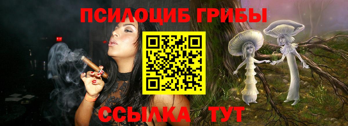 Краснотурьинск  где купить наркоту  Вход с VPN  Галлюциногенные грибы Magic Shrooms 